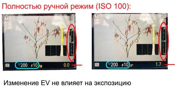 Экспокоррекция в фотографии