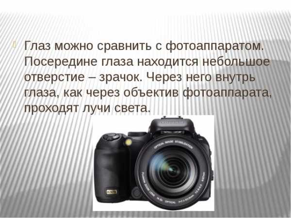 Презентация на тему современные фотоаппараты и их использование в быту