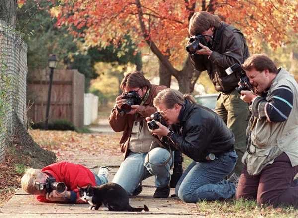 Фотолайн сайт любителей фотографии