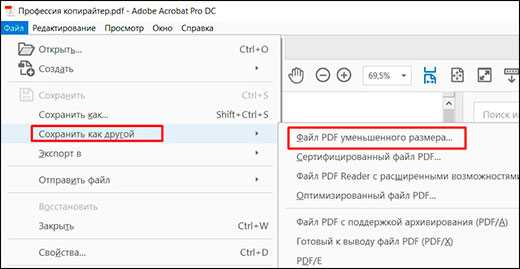 Как уменьшить размер файла pdf на компьютере для отправки сообщений пошагово в домашних условиях