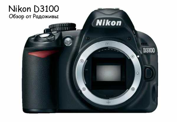 Nikon d3100 как настроить фотоаппарат для качественных фото