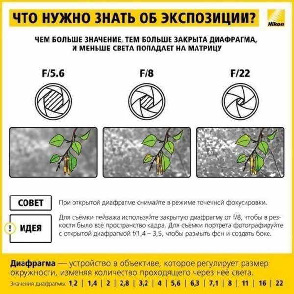 Правила фотографии для начинающих