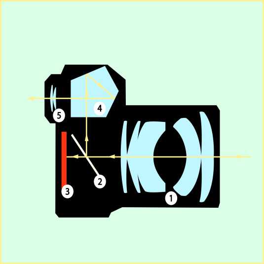 Какое изображение на фотопленке в фотоаппарате