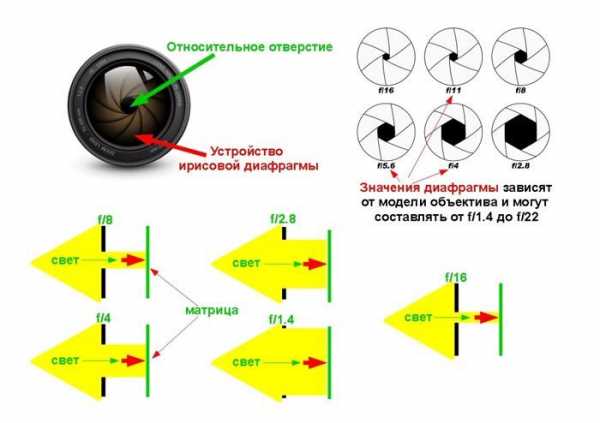 Как правильно выбрать диафрагму при съемке фото